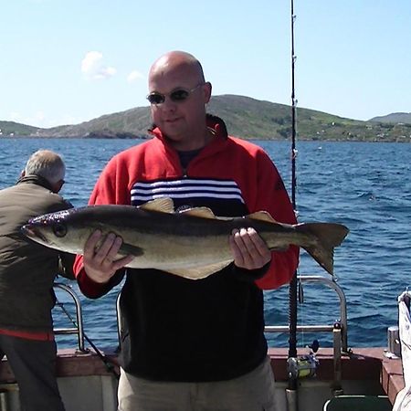 Sneem River Lodge Bed & Breakfast المظهر الخارجي الصورة